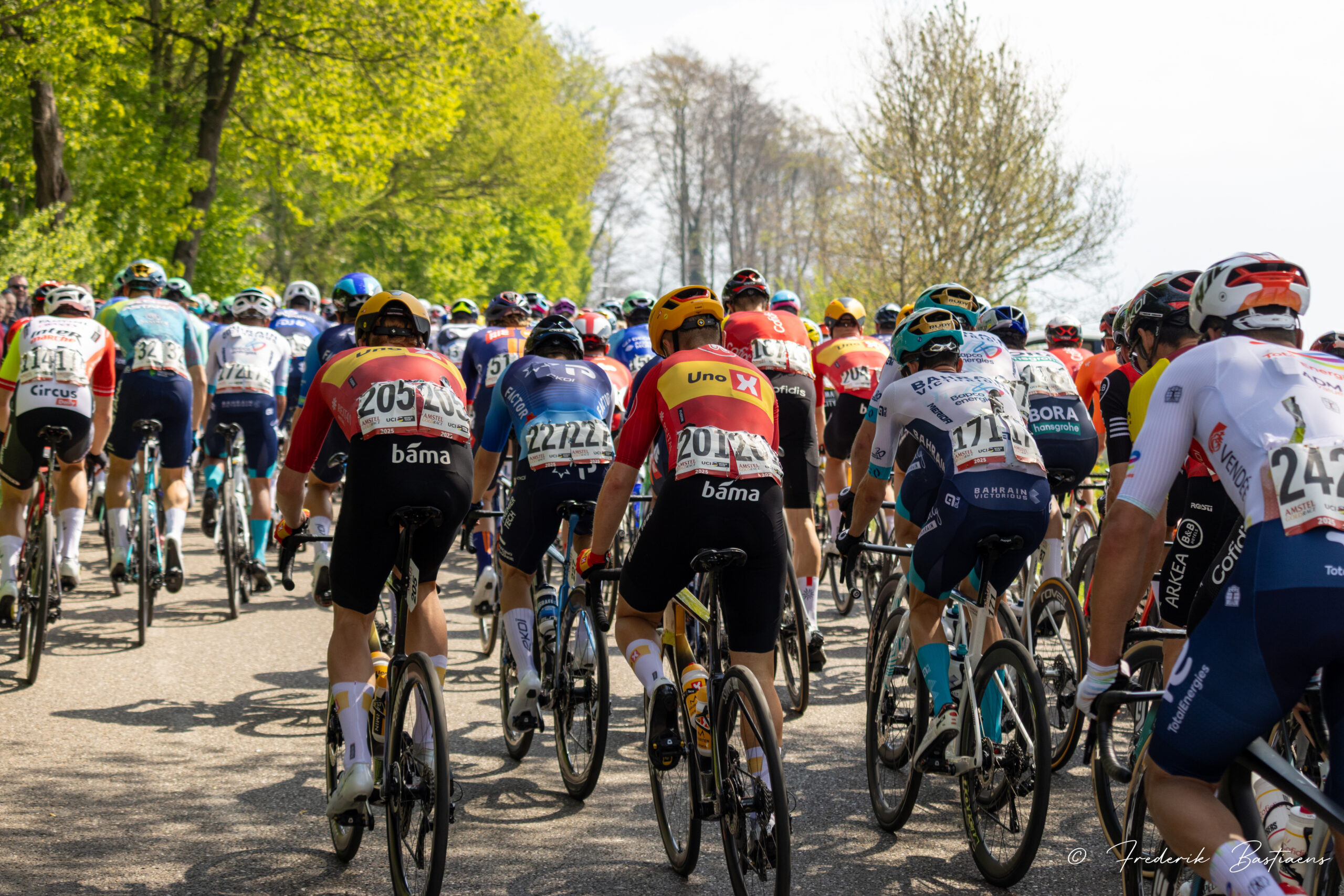 Amstel Gold 100
