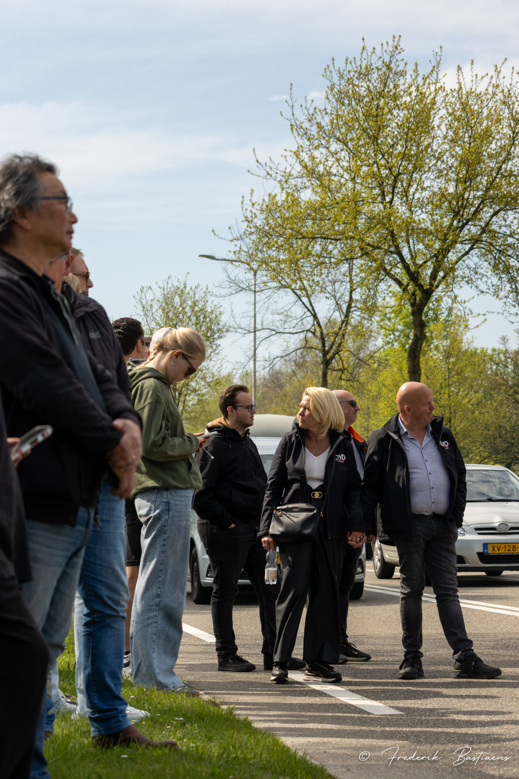 Amstel Gold 50