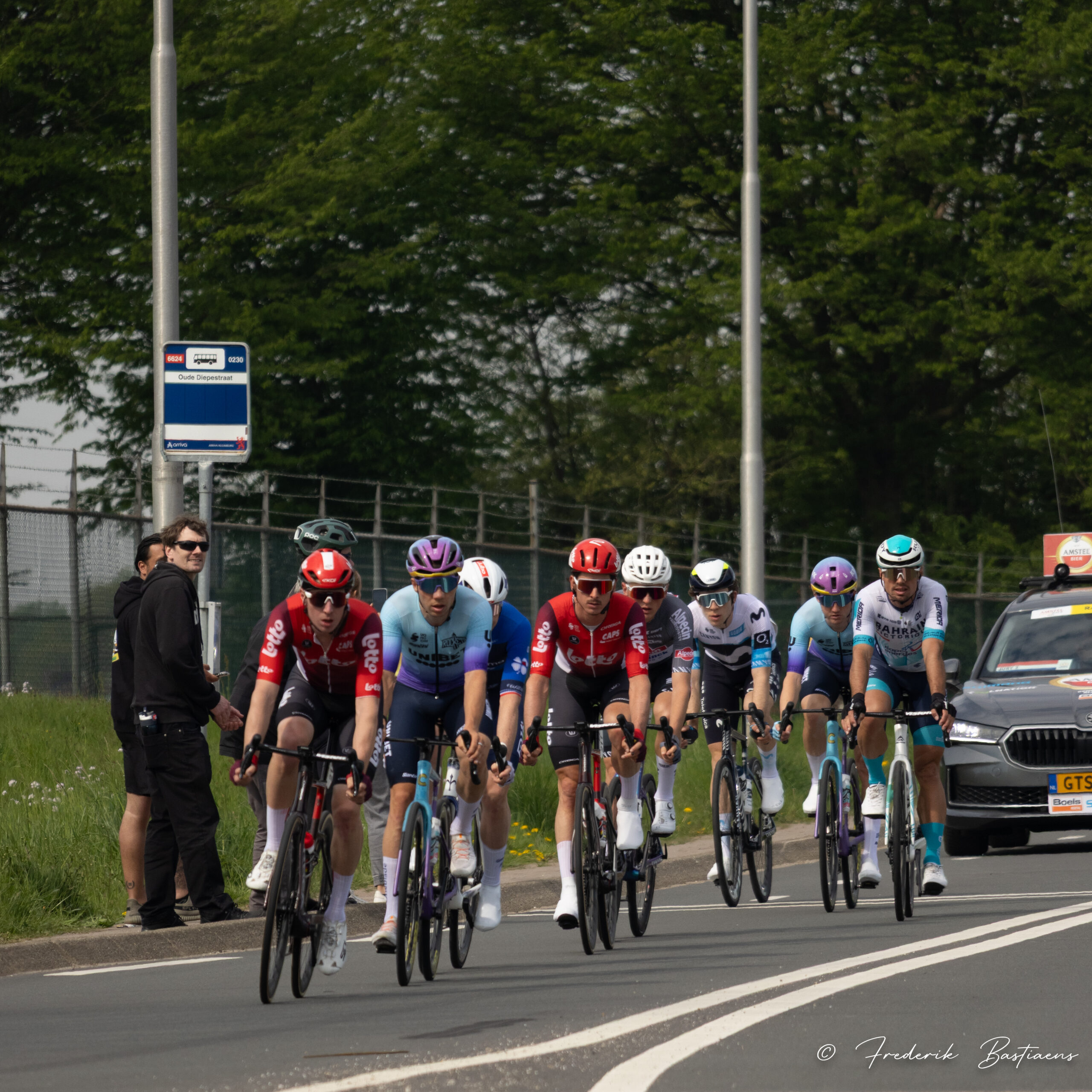 Amstel Gold 55