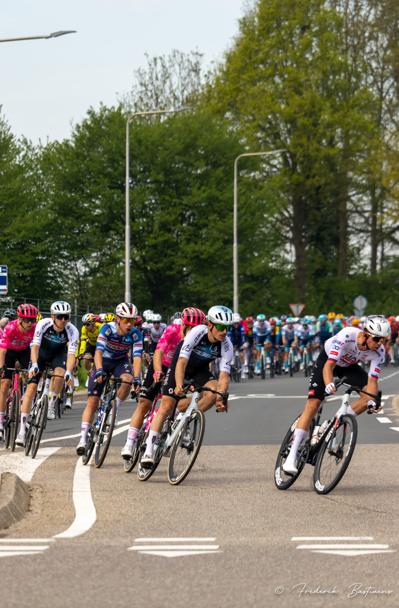 Amstel Gold 65