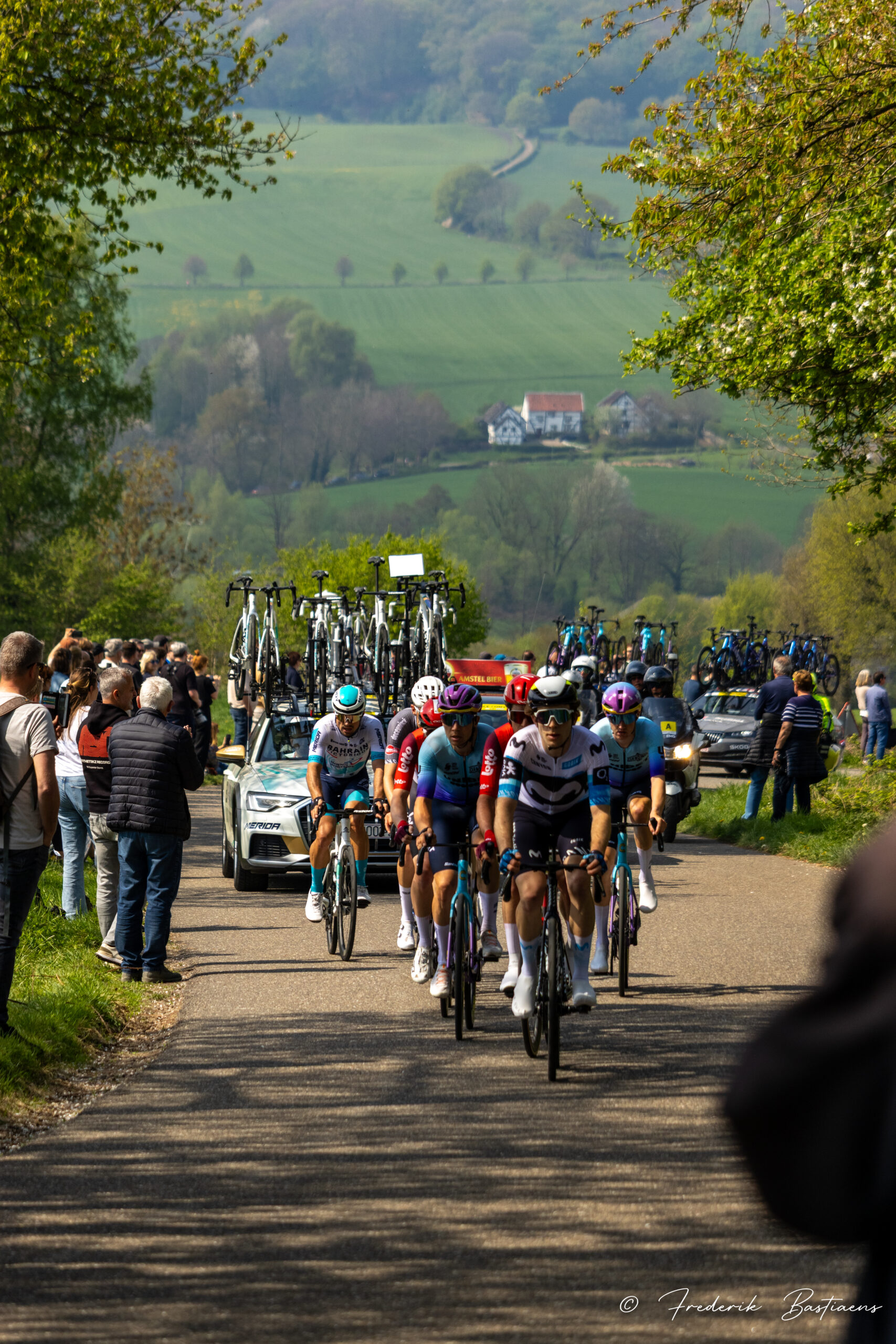 Amstel Gold 85