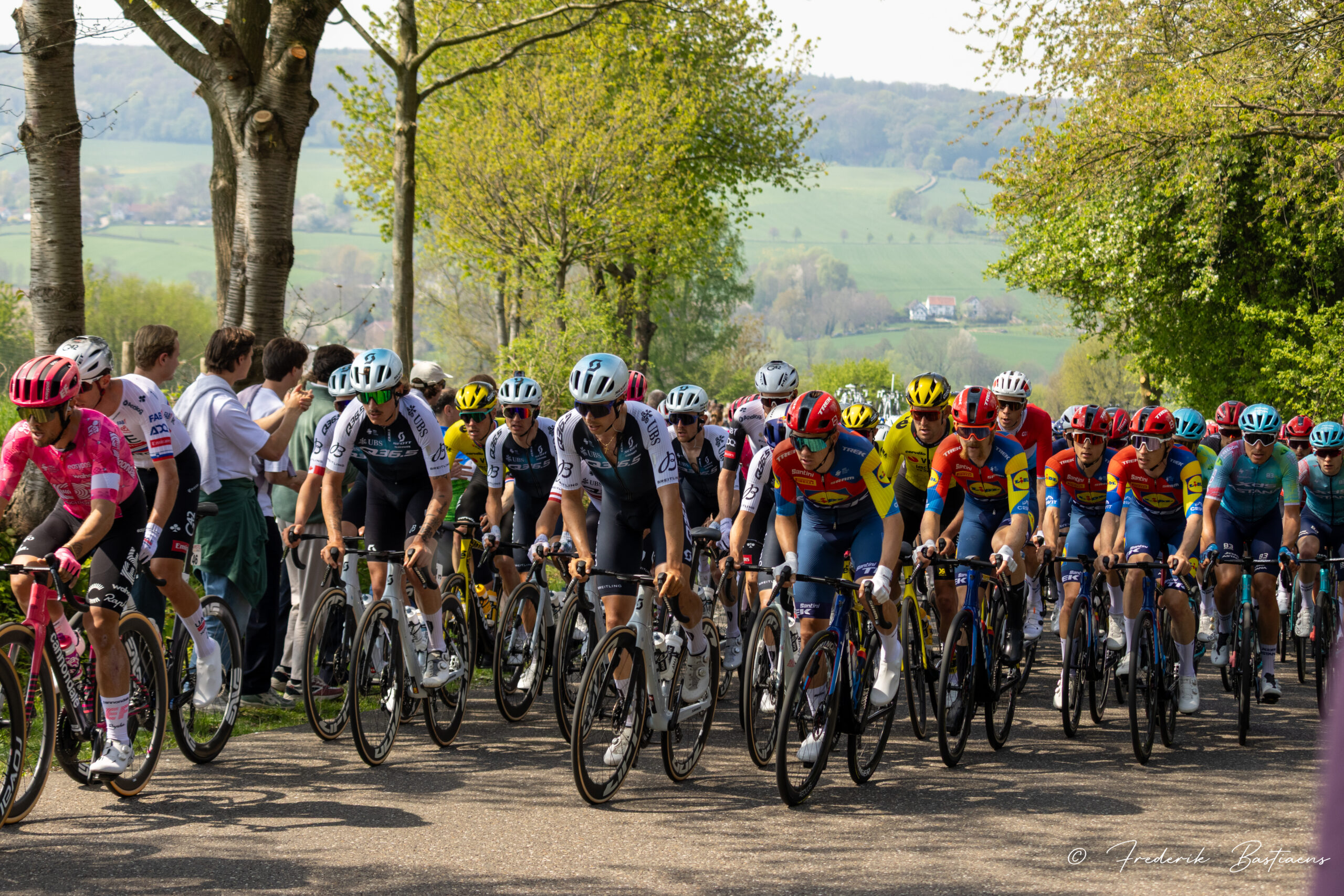 Amstel Gold 95