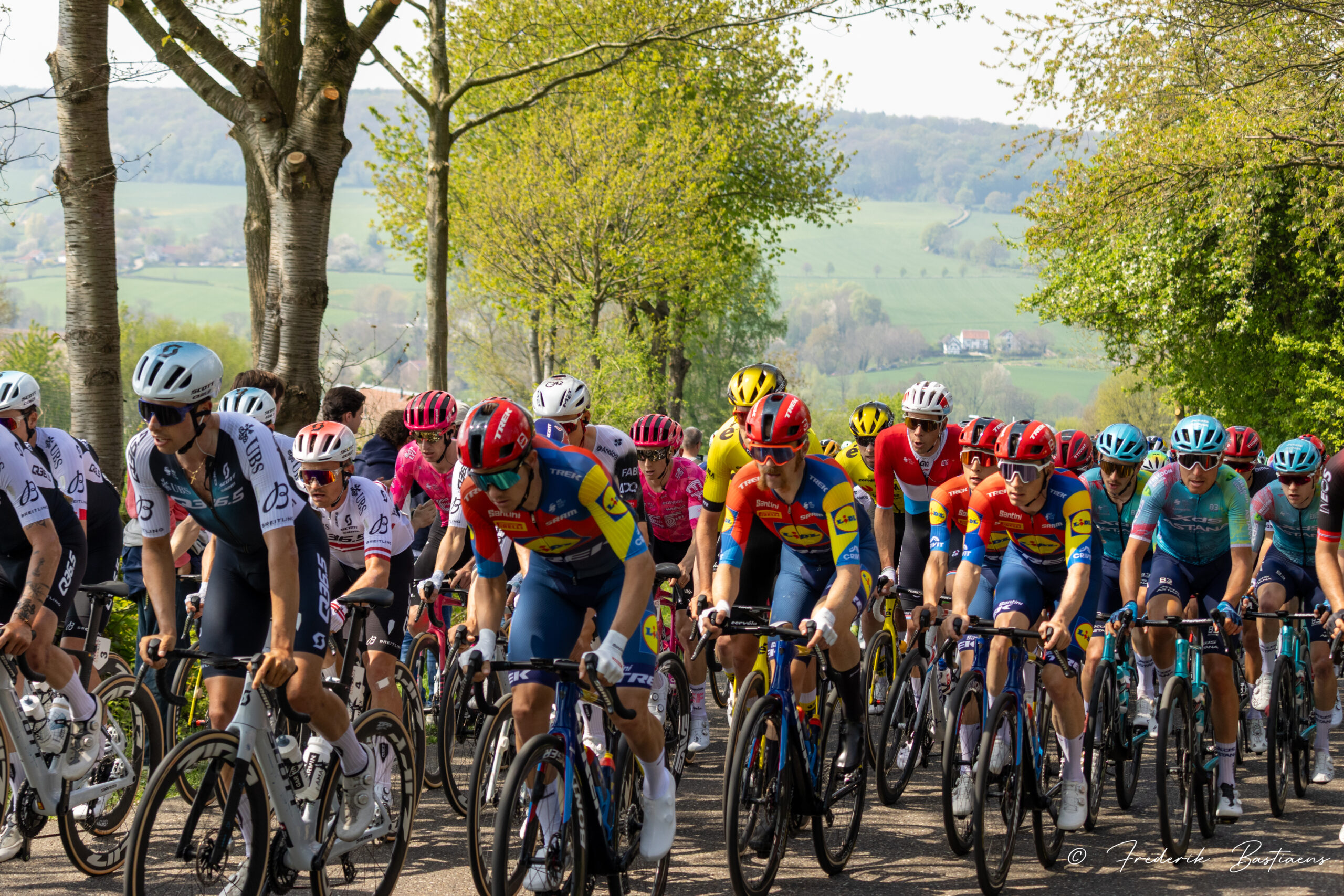 Amstel Gold 99