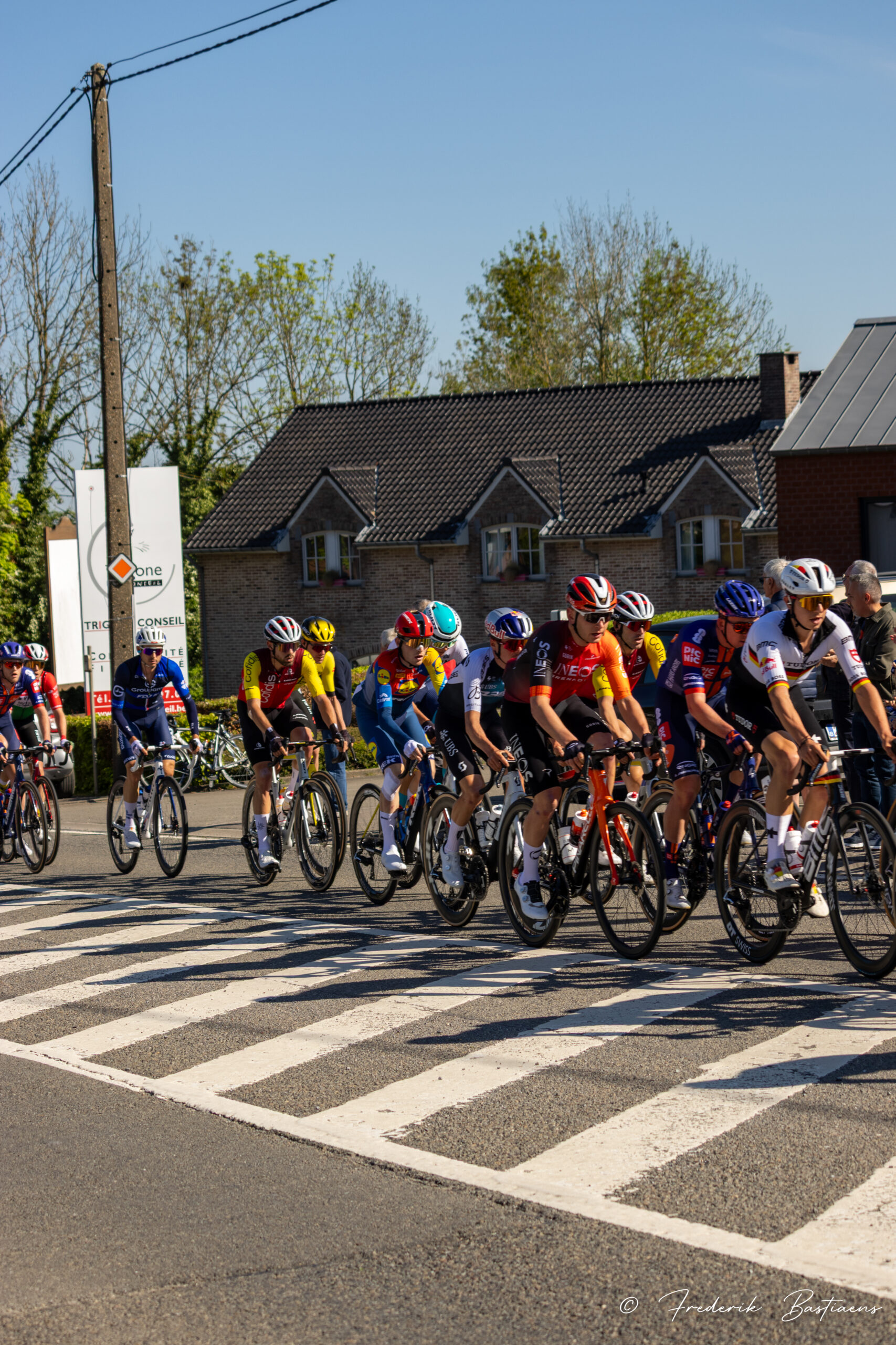 Lbl 13