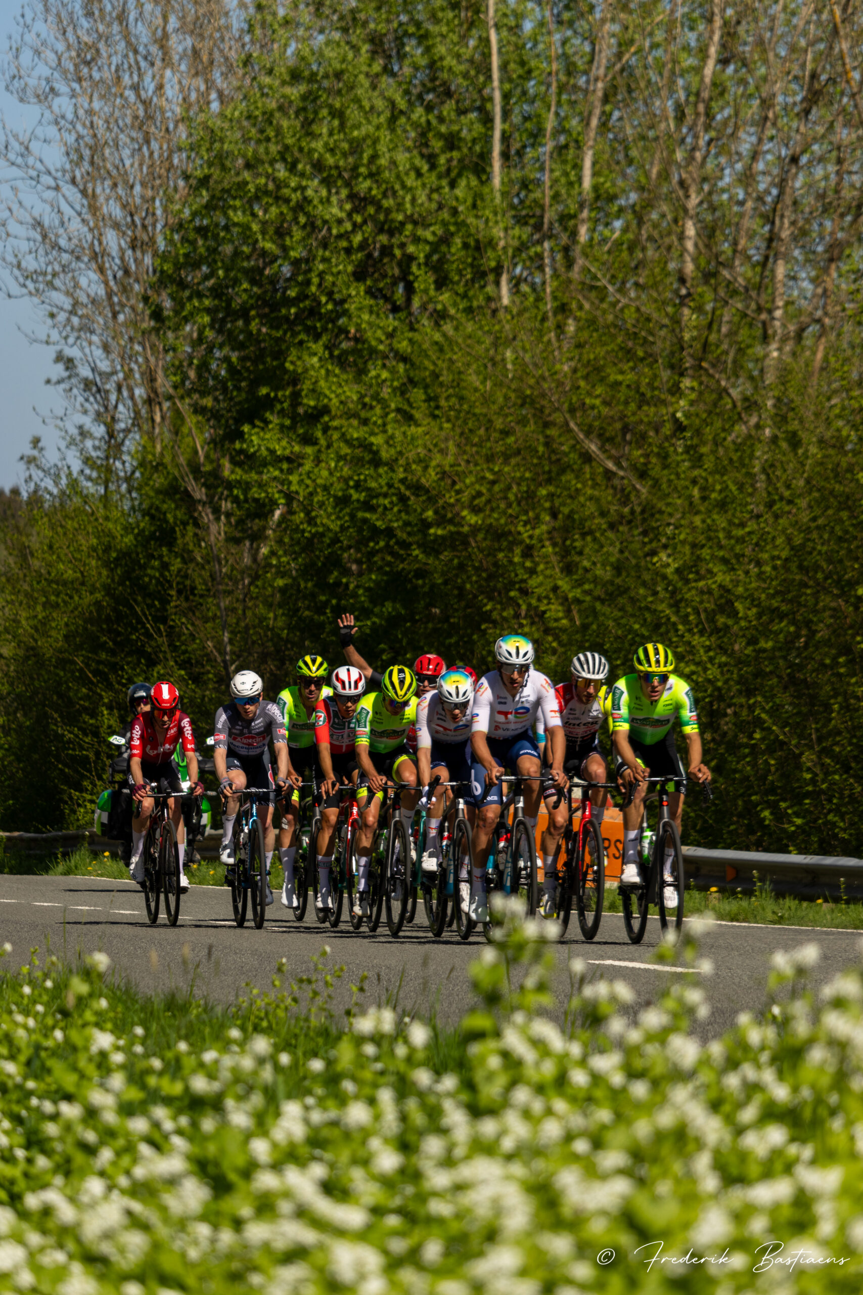 Lbl 24