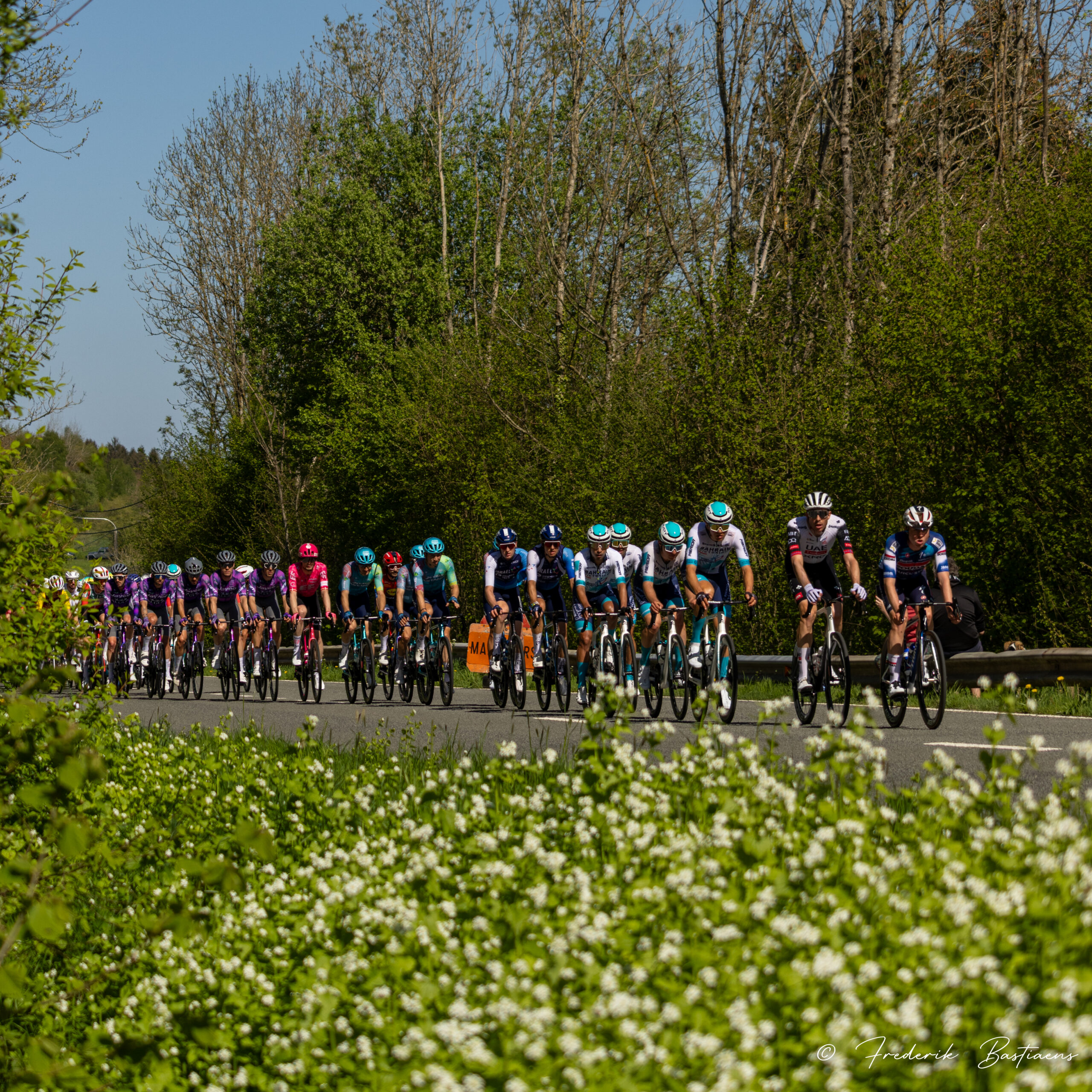 Lbl 29