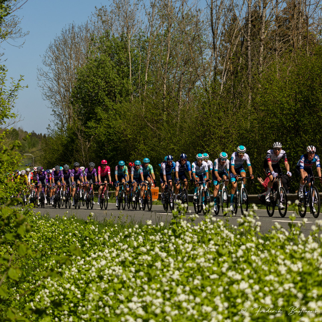 Lbl 30